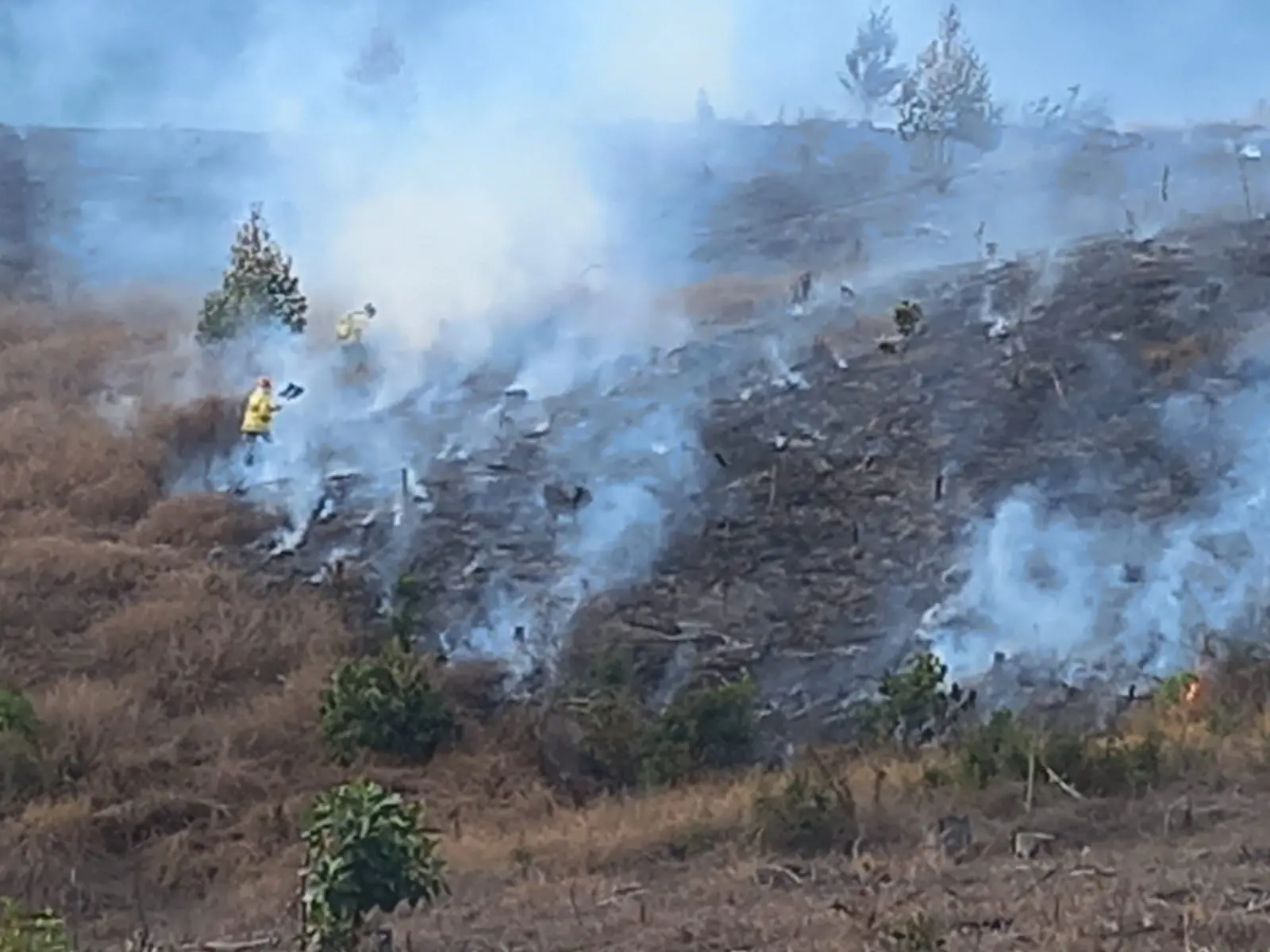 Águas da Prata: homem é preso após incendiar propriedade rural