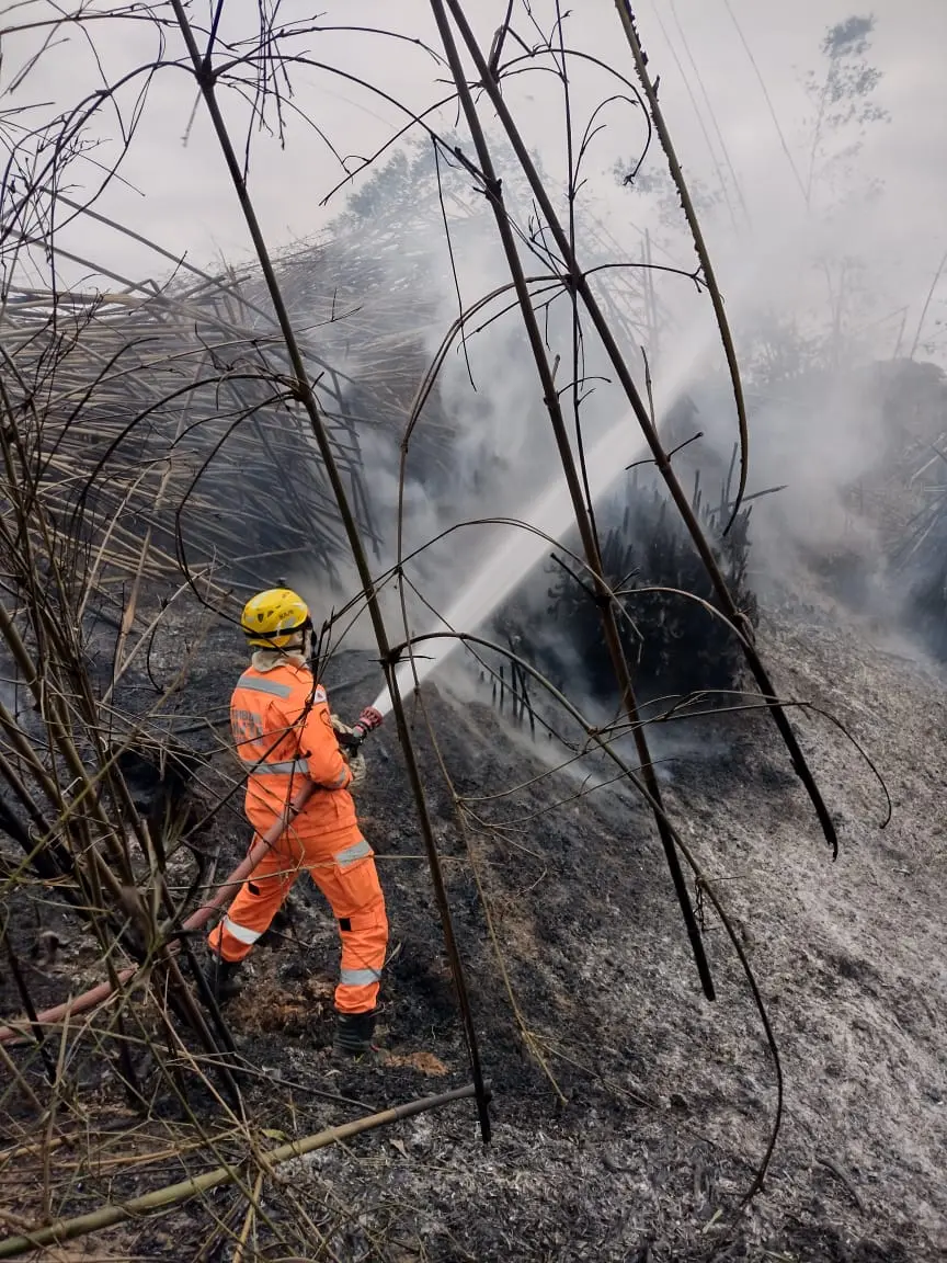 Incêndio destrói bananal em Andradas