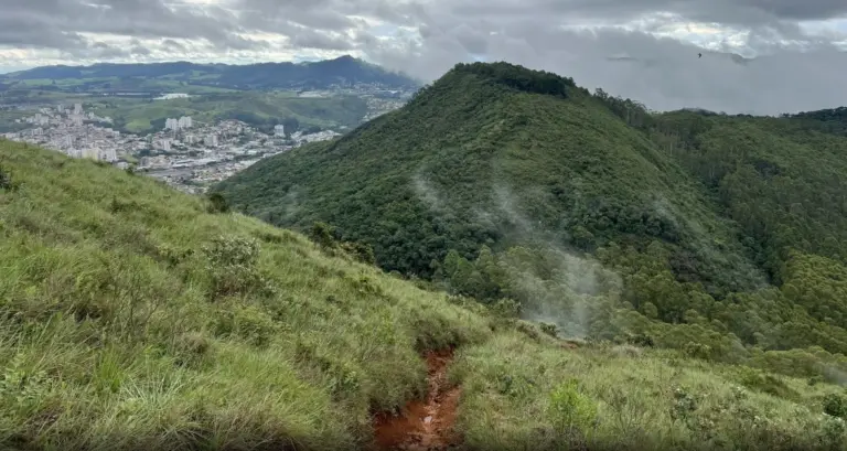 Decreto regulamenta intervenções ambientais em zonas de preservação de Poços