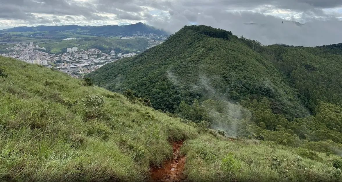 Decreto regulamenta intervenções ambientais em zonas de preservação de Poços