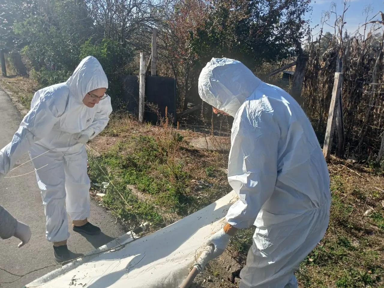 Prefeitura monitora carrapatos em regiões da cidade para evitar doenças