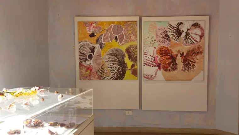Artista plástica explora identidade e colorismo em exposição no Festival de Inverno