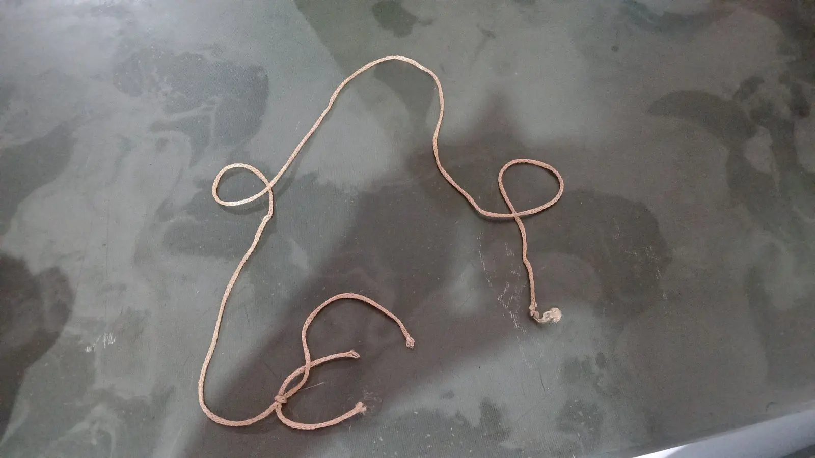 Gata é encontrada com sinais de enforcamento em Poços; Polícia Civil investiga o caso