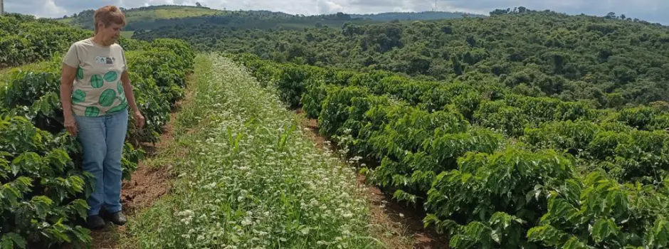 Mulheres no sul de Minas se destacam na cafeicultura