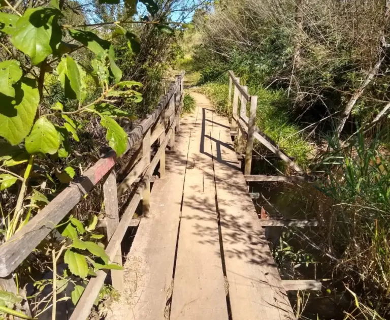 Vereador solicita reforma em passarela de madeira na zona sul