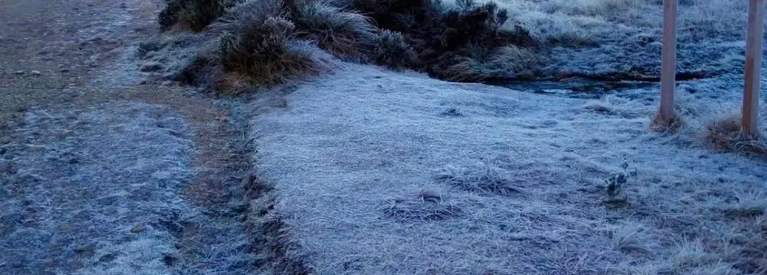 Geadas e mínimas de até -2°C devem atingir cidades do sul de Minas nesta quarta-feira