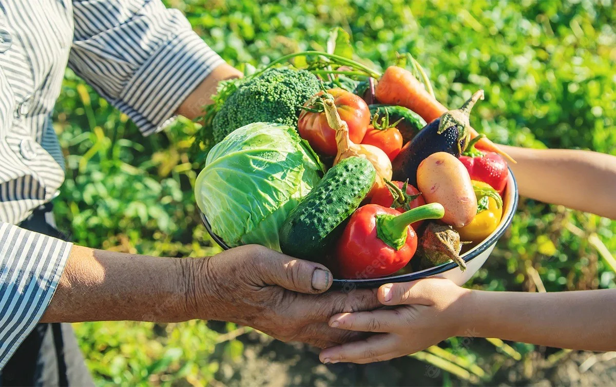 Plano Safra da agricultura familiar vai reduzir preços dos alimentos, diz ministro
