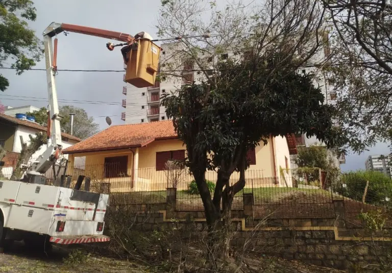 Saiba como solicitar poda de árvore em calçadas e vias públicas de Poços