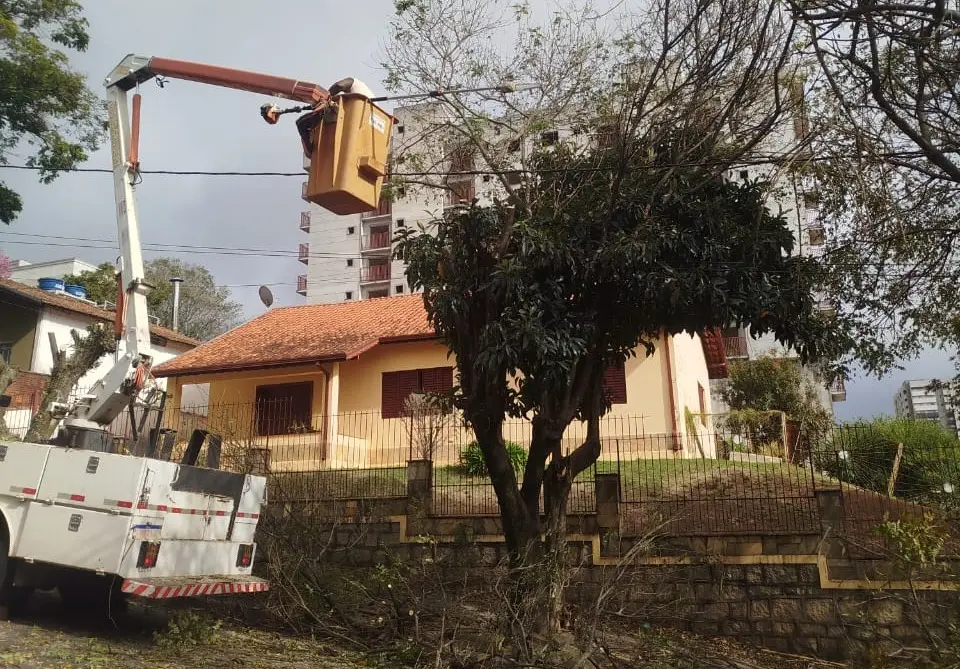 Saiba como solicitar poda de árvore em calçadas e vias públicas de Poços