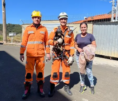 Depois de um mês nas ruas, cachorrinha Sofia é resgatada pelos bombeiros Depois de um mês nas ruas, cachorrinha Sofia é resgatada pelos bombeiros