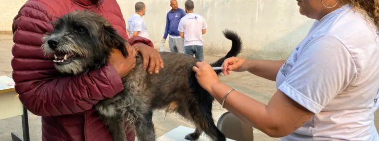 Minas Gerais espera vacinar mais de 4 milhões de cães e gatos contra raiva