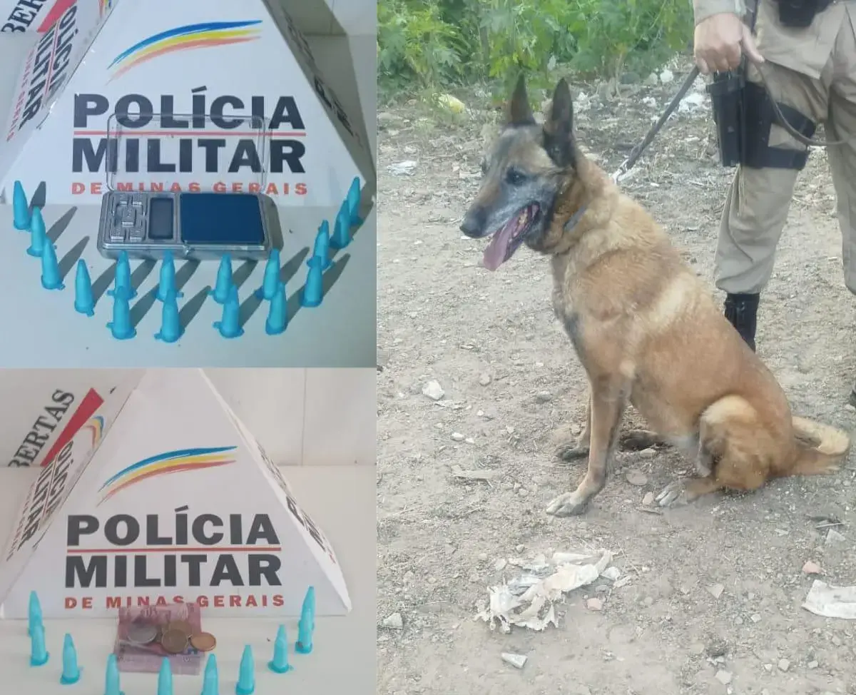Adolescente é apreendido com pinos de cocaína em Andradas