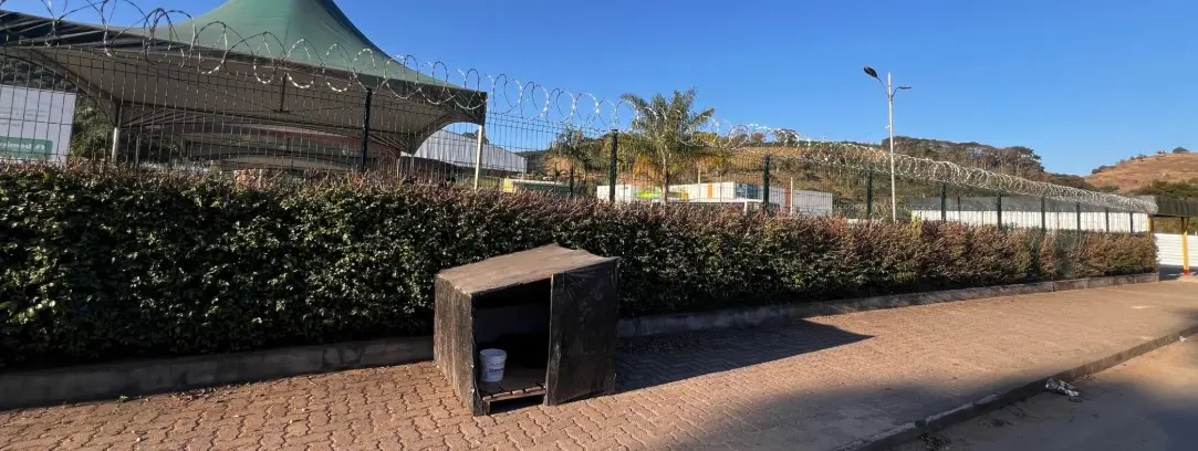 Prefeitura de Machado instala casinhas para proteger cães de rua do frio