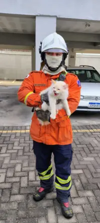 Bombeiros controlam incêndio e resgatam gato em apartamento na zona oeste de Poços