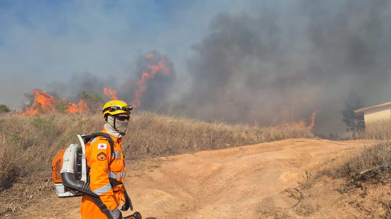 Fogo destrói 50 hectares em Poços; bombeiros e Defesa Civil resgatam cavalos e impedem destruição de casas e estufas