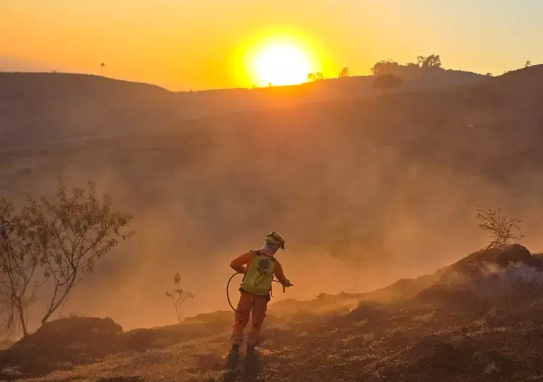 Após quatro dias bombeiros extinguem incêndio; cerca de 35 hectares foram devastados