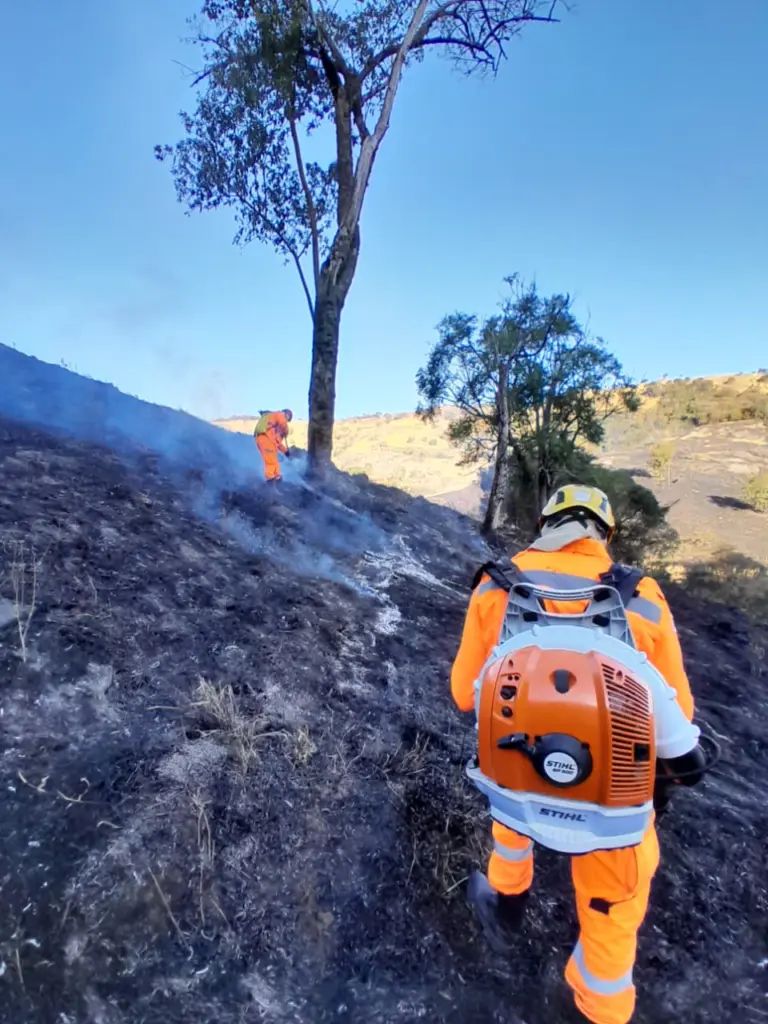 Bombeiros combatem incêndio na Pedra Branca; 10 hectares foram destruídos