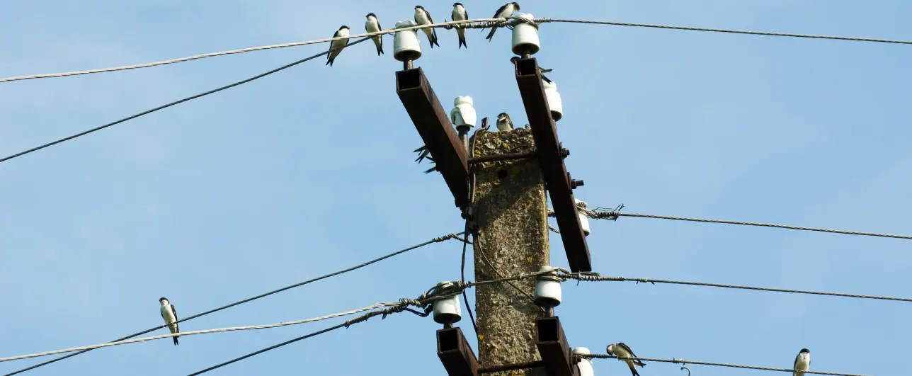 Jardim Santa Rita tem desligamentos de energia nesta terça-feira