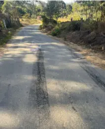 Atropelamento de cão comunitário provoca mais um pedido de redutor de velocidade na zona rural