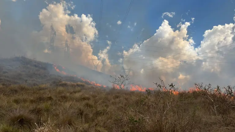 incêndio em vegetação