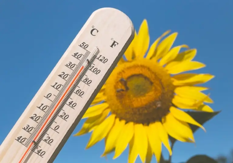 Brasil inicia setembro sob forte onda de calor