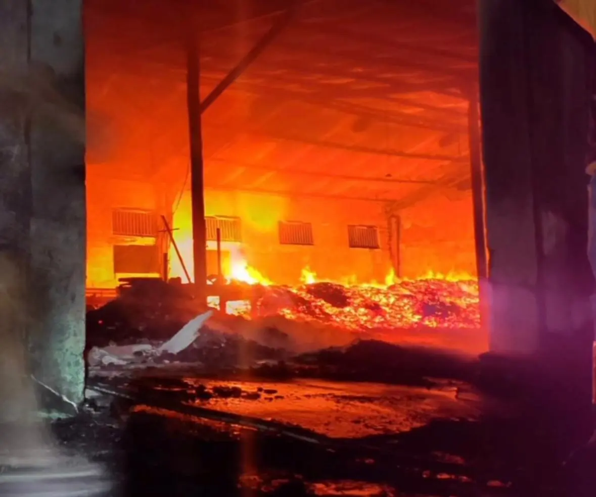MG | Bombeiros combatem incêndio em carvoaria; ação levou 11 horas