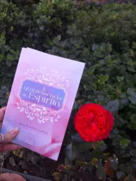 Centro Espírita Deus e Caridade promove apresentação e lançamento de livro