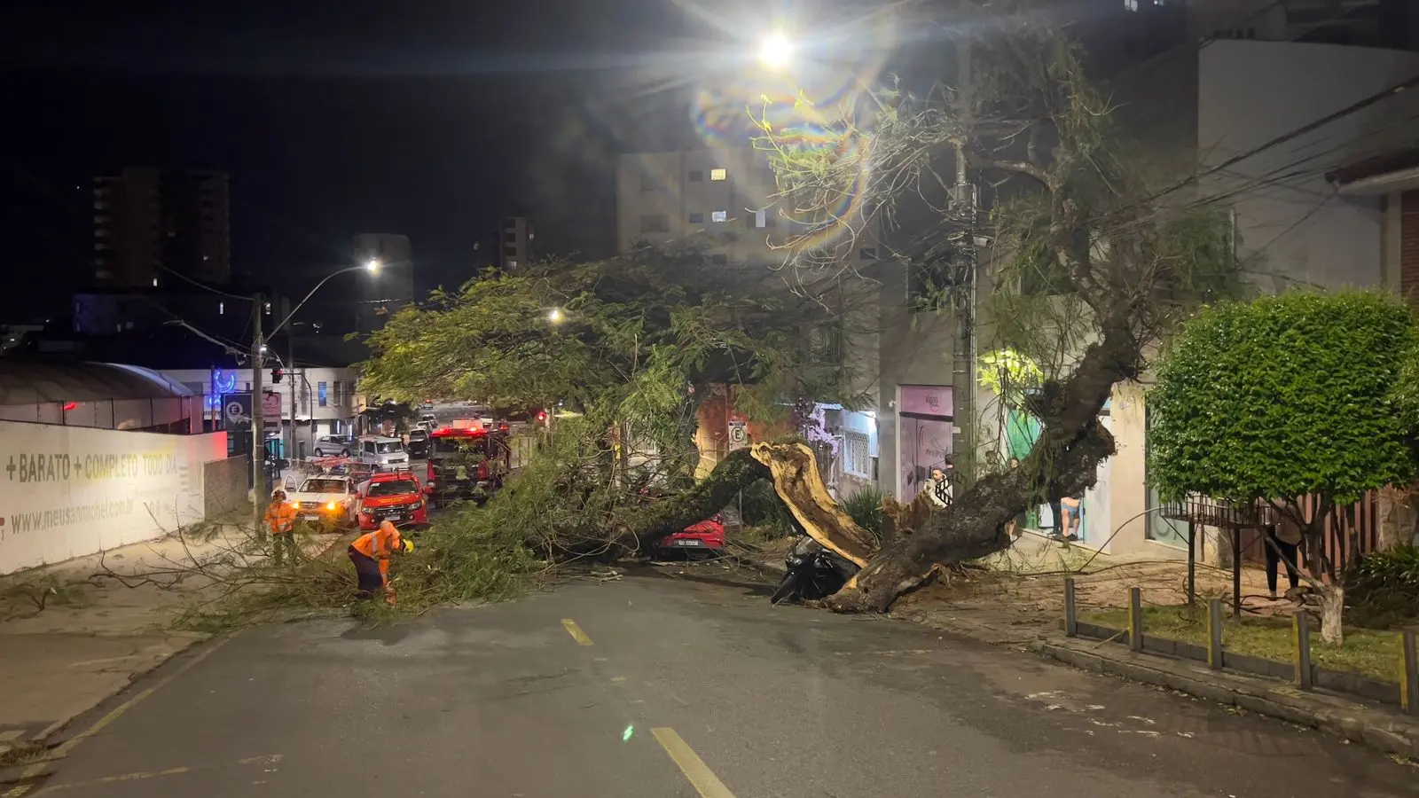 Vendaval derruba árvore de grande porte e destrói dois veículos em Poços de Caldas