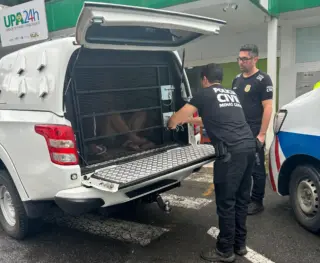 Suspeitos de assassinar mulher em agosto são presos