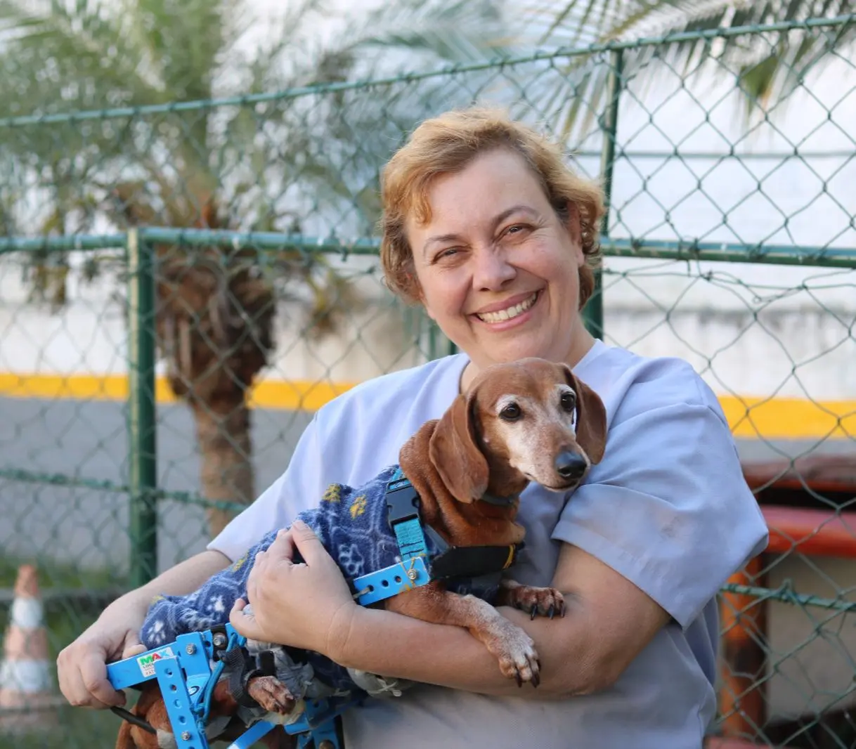 Isaías, cão cadeirante de Poços, participa de “Caramelo” e inspira adoções responsáveis
