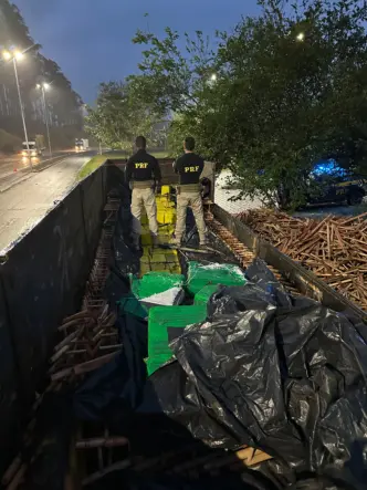 cinco toneladas de maconha