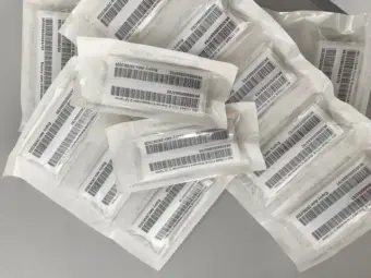 Programa de castração animal é alvo de questionamentos por falta de microchips