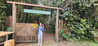 Araras de Poços alcançam destaque em produções nacionais