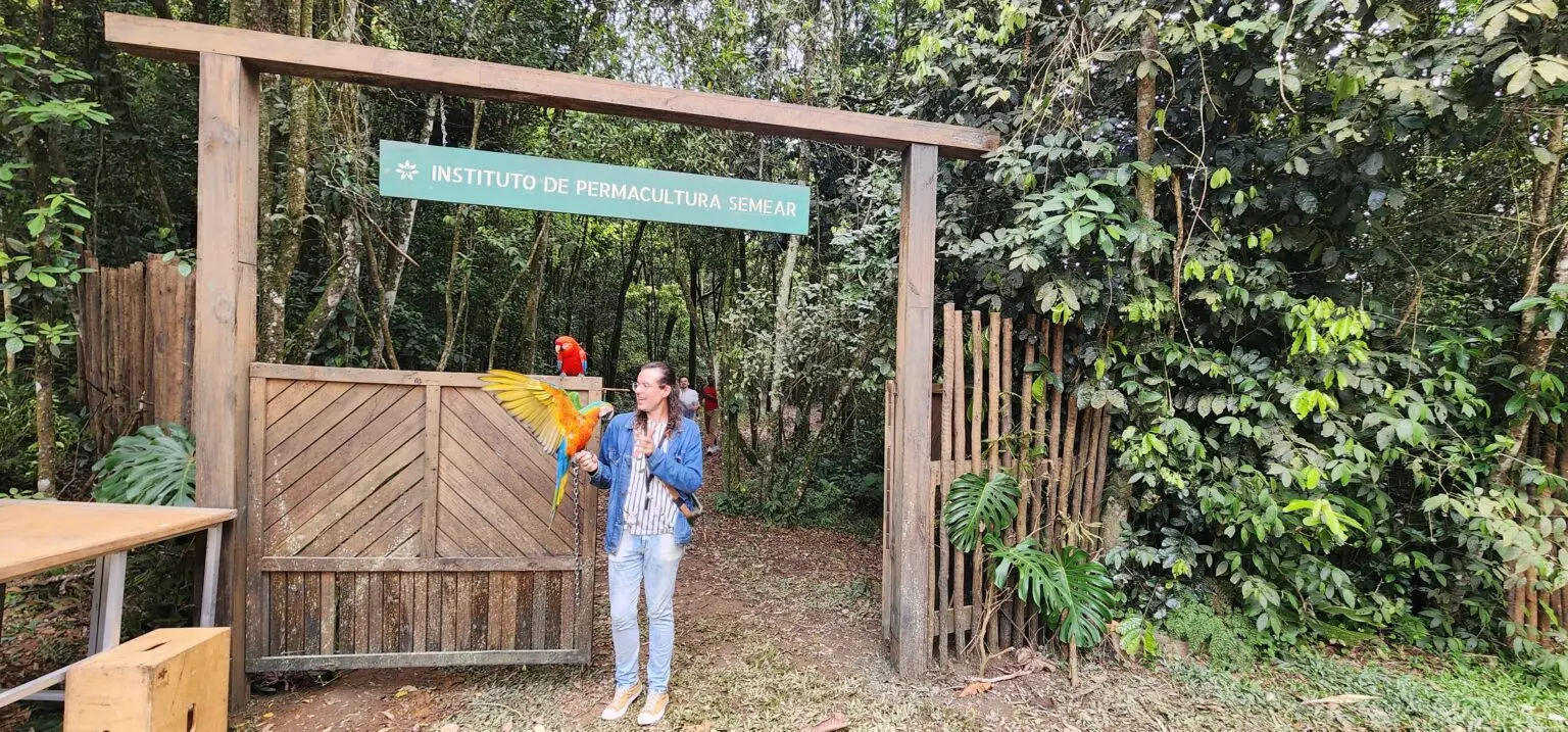 Araras de Poços alcançam destaque em produções nacionais
