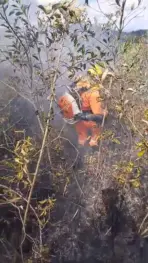 Bombeiros controlam incêndio em área de preservação em Poços de Caldas