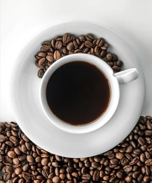 Confira a programação da 1ª Festa do Café de Poços de Caldas