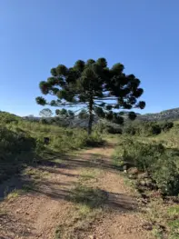 Poços não tem plano de adaptação climática, mas mantém “medidas ambientais”