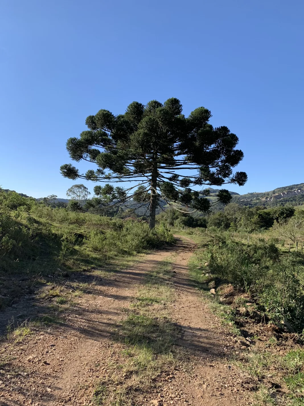 Poços não tem plano de adaptação climática, mas mantém “medidas ambientais”