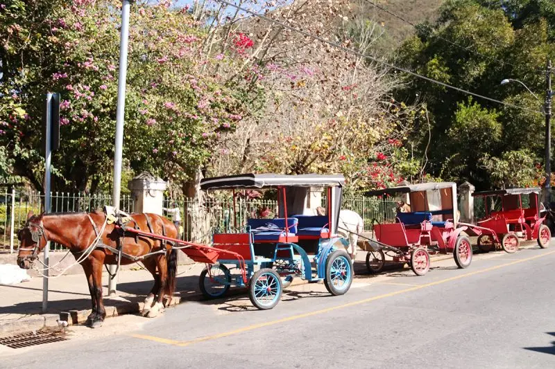 Caxambu coloca fim à exploração animal nas charretes turísticas