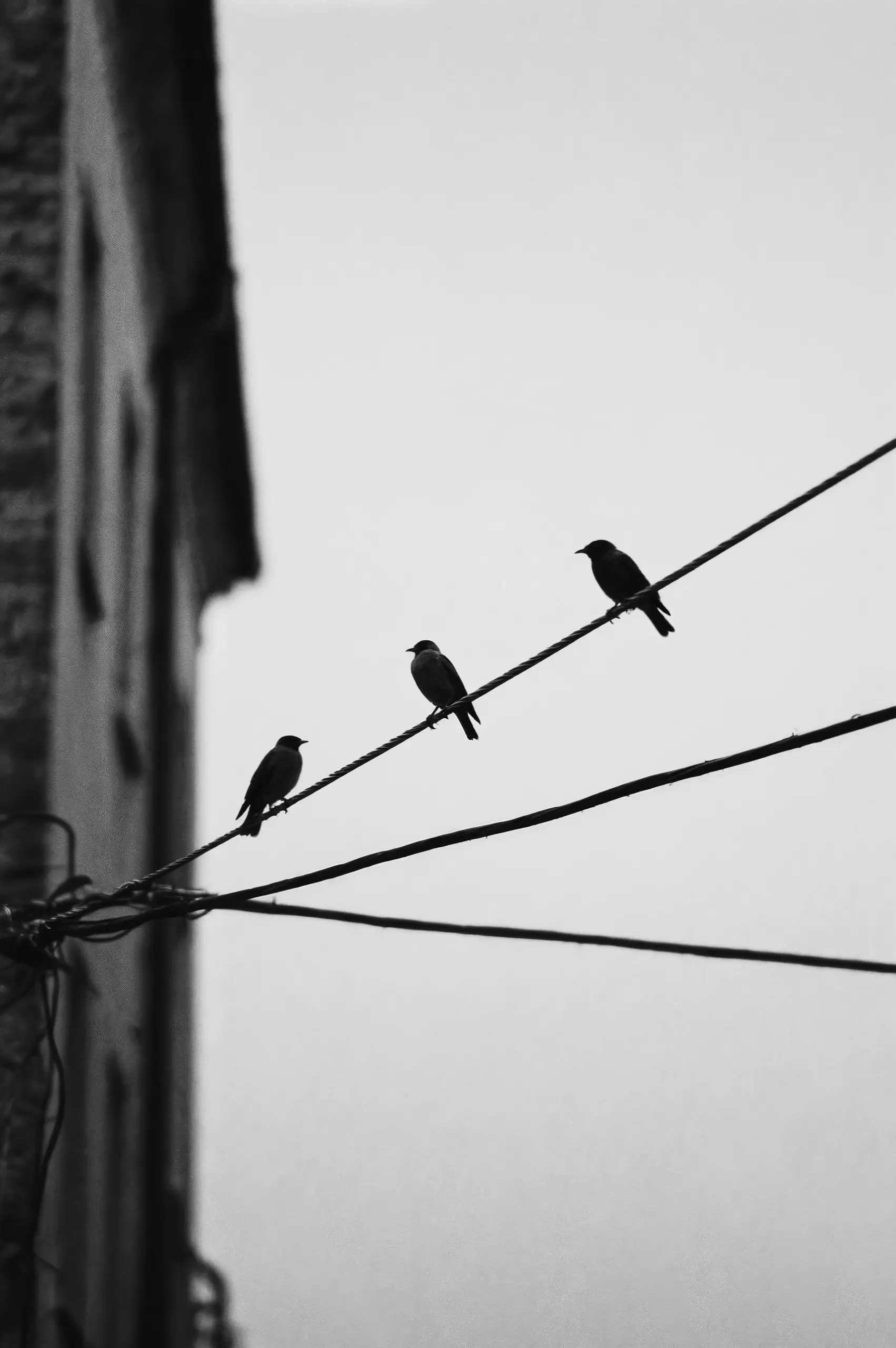 Bairro São José tem desligamentos de energia nesta terça-feira