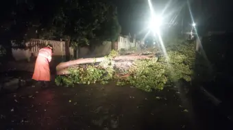 Tempestade causa destruição e interrupção de serviços em cidade sul-mineira