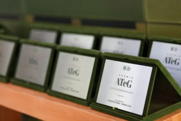 Minas Gerais se destaca no Prêmio ATeG 2025 Minas Gerais se destaca no Prêmio ATeG 2025