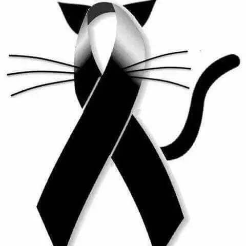 "Era só um animal": a dor invisível de quem perde um pet