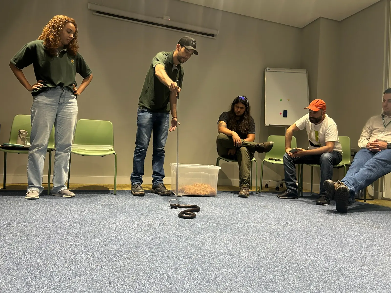 Concessionária capacita equipes para manejo de animais em rodovias