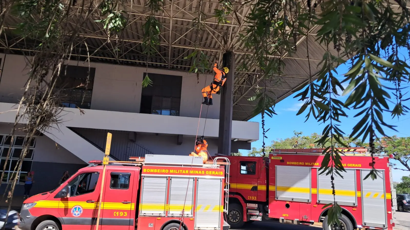 MG | Bombeiros realizam operação de resgate para salvar pombo preso em telhado de rodoviária