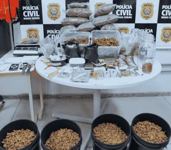 Organização que vendia drogas por até R$ 150 o grama é alvo de operação em MG